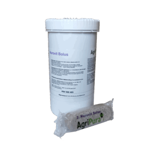 Nurovit Bolus